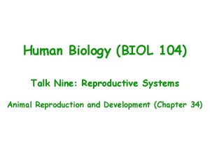 Human Biology BIOL 104 Talk Nine Reproductive Systems