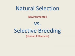 Natural selection vs artificial selection