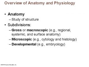 Overview of Anatomy and Physiology Anatomy Study of