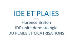 IDE ET PLAIES MARS 2014 Florence Breton IDE