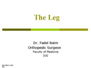 The Leg Dr Fadel Naim Orthopedic Surgeon Faculty