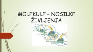 MOLEKULE NOSILKE IVLJENJA AMINI So derivati amonijaka e