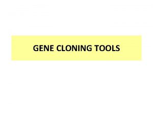 GENE CLONING TOOLS Genetic engineering Gene Cloning allows