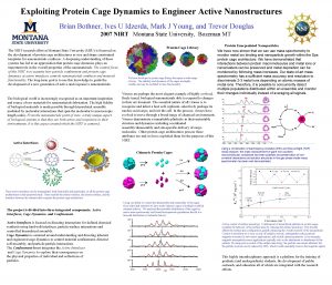 Exploiting Protein Cage Dynamics to Engineer Active Nanostructures