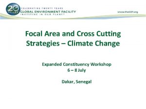 Focal Area and Cross Cutting Strategies Climate Change