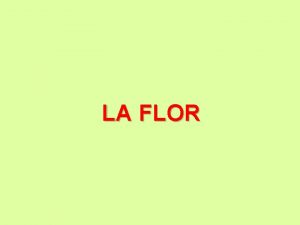 LA FLOR LA FLOR es un conjunto de