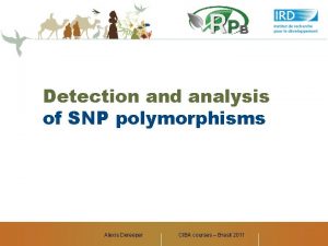 Detection and analysis of SNP polymorphisms Alexis Dereeper