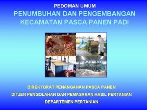 PEDOMAN UMUM PENUMBUHAN DAN PENGEMBANGAN KECAMATAN PASCA PANEN