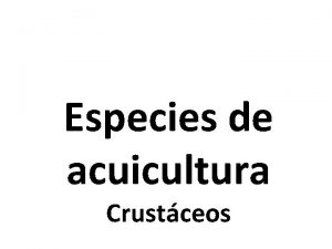 Especies de acuicultura Crustceos crustceos de cultivo acucola