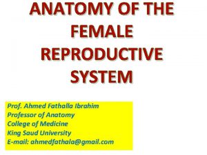 ANATOMY OF THE FEMALE REPRODUCTIVE SYSTEM Prof Ahmed