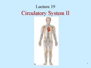 Basilic vein deep or superficial