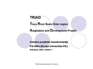 TRIAD Tisza River Basin Interregion Adaptation and Development