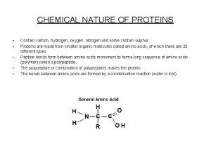 CHEMICAL NATURE OF PROTEINS Contain carbon hydrogen oxygen