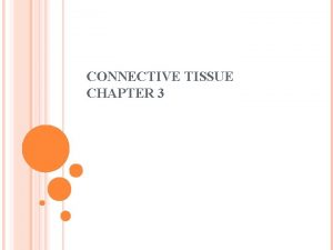 CONNECTIVE TISSUE CHAPTER 3 CONNECTIVE TISSUE Connective Tissue