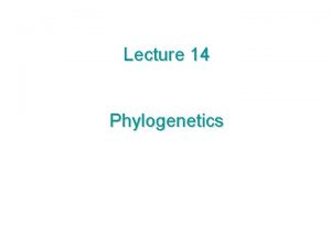 Lecture 14 Phylogenetics Today What is a phylogenetic