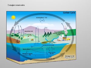 5 major reservoirs 5 major reservoirs atmosphere terrestrial