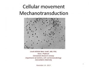 Cellular movement Mechanotransduction Lszl Khidai Med Habil MD