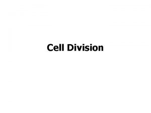 Cell Division Cell Cycle 2 distinct phases S