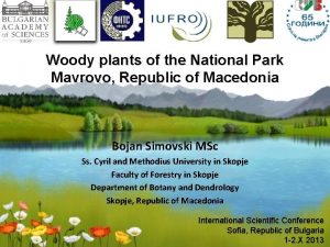 Woody plants of the National Park Mavrovo Republic