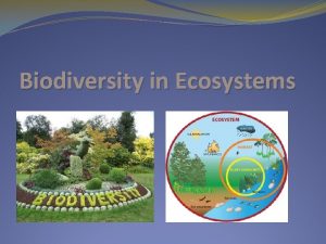 Biodiversity in Ecosystems What is Biodiversity Biodiversity means