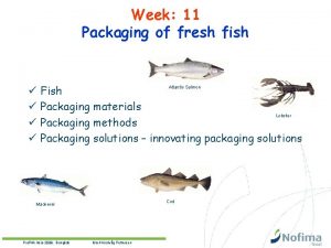 Fresh fish packaging solutions