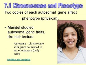 Two copies of each autosomal gene affect phenotype