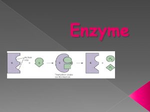 Enzyme Enzymes Introduction Enzymes are macromolecules that catalyze