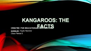 KANGAROOS THE FACTS CREATED FOR EDUCATIONAL PURPOSES ONLY