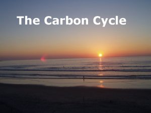 The Carbon Cycle Carbon Dioxide and Carbonate system