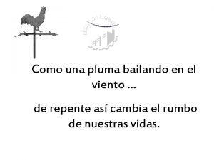 Como una pluma bailando en el viento de