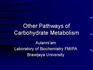 Other Pathways of Carbohydrate Metabolism Aulanniam Laboratory of