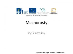 Mechorosty Vy rostliny vypracovala Mgr Monika trejbarov Vy