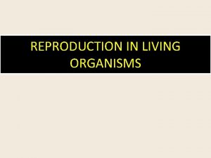 Events of fertilization in plants Events of fertilization in plants
