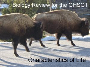Biology Review for the GHSGT Characteristics of Life