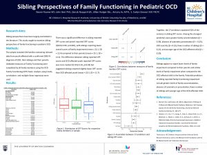 Sibling Perspectives of Family Functioning in Pediatric OCD