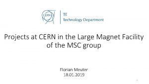 Projects at CERN in the Large Magnet Facility