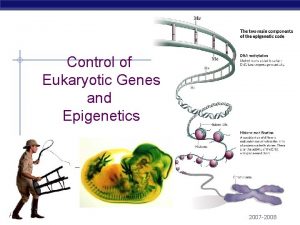 Control of Eukaryotic Genes and Epigenetics AP Biology