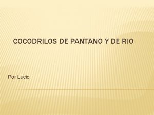 COCODRILOS DE PANTANO Y DE RIO Por Lucio