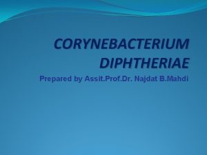 CORYNEBACTERIUM DIPHTHERIAE Prepared by Assit Prof Dr Najdat