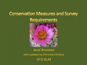 Conservation Measures and Survey Requirements Jessi Brunson with