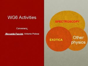 WG 6 Activities SPECTROSCOPY Conveners Riccardo Faccini Antonio