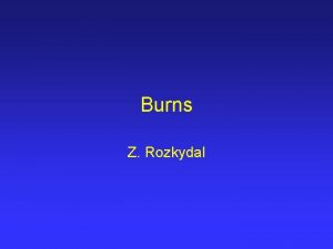 Burns Z Rozkydal Epidermis Dermis blood vessels nerves