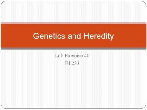 Genetics and Heredity Lab Exercise 40 BI 233