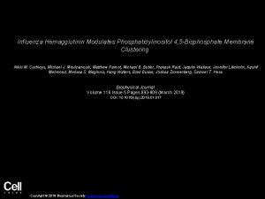 Influenza Hemagglutinin Modulates Phosphatidylinositol 4 5 Bisphosphate Membrane