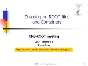 Zooming on ROOT files and Containers CMSROOT meeting