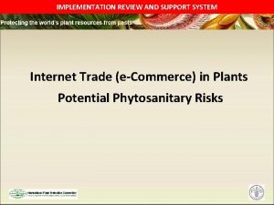 IMPLEMENTATION REVIEW AND SUPPORT SYSTEM Internet Trade eCommerce
