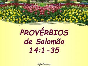 PROVRBIOS de Salomo 14 1 35 O JUSTO