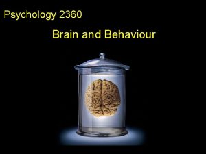 Psychology 2360 Brain and Behaviour q Welcome to