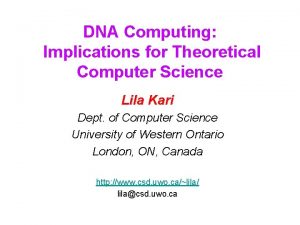 DNA Computing Implications for Theoretical Computer Science Lila