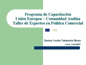 Programa de Capacitacin Unin Europea Comunidad Andina Taller